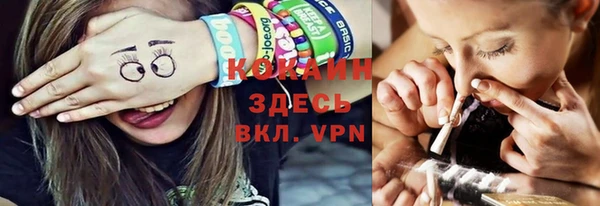 прущие грибы Осташков