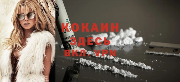 сатива Осинники