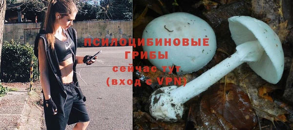 сатива Осинники