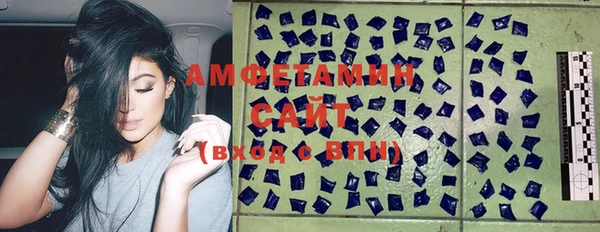 прущие грибы Осташков