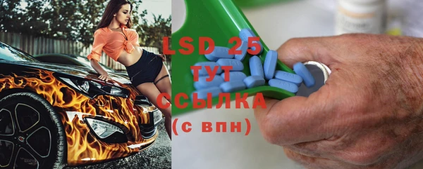 прущие грибы Осташков