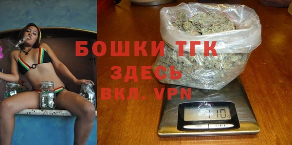 прущие грибы Осташков