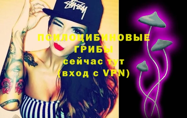 прущие грибы Осташков