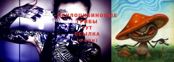 сатива Осинники