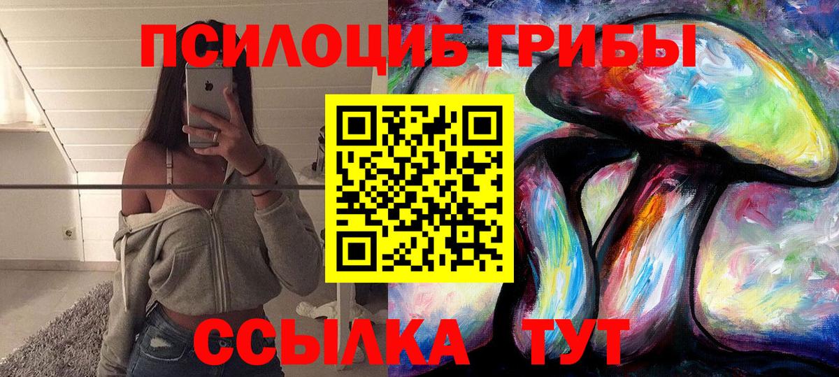 Фрязино  Псилоцибиновые грибы Cubensis  Псилоцибиновые грибы Cubensis  наркотики  Вход с VPN 