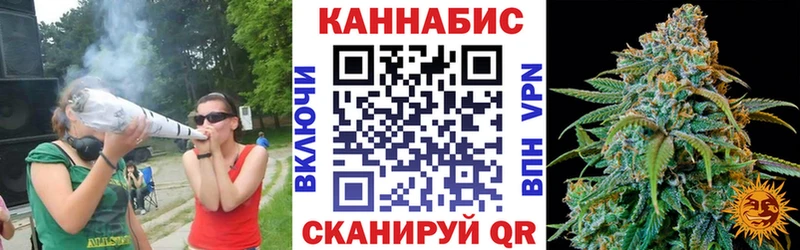 Бошки марихуана семена  наркошоп  Фрязино 